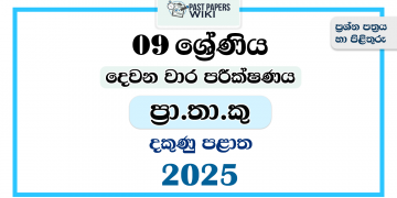 Southern Province 2025 Grade 09 PTS 2nd Term Test Paper