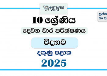 Southern Province 2025 Grade 10 Science 2nd Term Test Paper