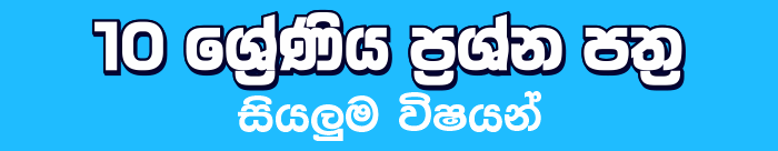 Grade 10 Term test Papers with answers Sinhala Medium