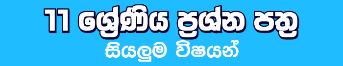 Grade 11 Term test Papers with answers Sinhala Medium