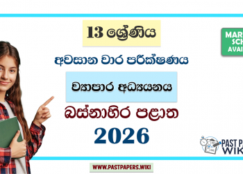 Grade 13 Business Studies 3rd Term Test Paper 2026 | Western Province
