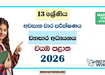 Grade 13 Business Studies 3rd Term Test Paper 2026 | North Western Province