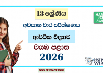 Grade 13 Economics 3rd Term Test Paper 2026 | North Western Province