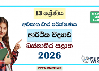 Grade 13 Economics 3rd Term Test Paper 2026 | Western Province