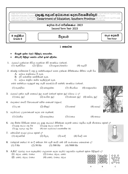 Southern Province 2023 Grade 08 Science 2nd Term Test Paper First Page