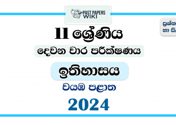 2024 Grade 11 History 2nd Term Test Paper | North Western Province