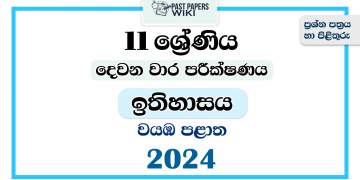 2024 Grade 11 History 2nd Term Test Paper | North Western Province
