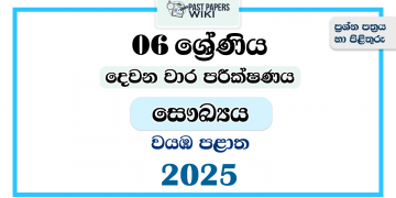 North Western Province 2025 Grade 06 Health 2nd Term Test Paper
