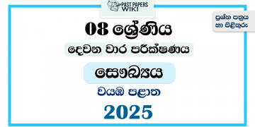North Western Province 2025 Grade 08 Health 2nd Term Test Paper