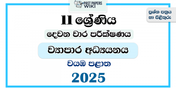 North Western Province 2025 Grade 11 Business Studies 2nd Term Test Paper