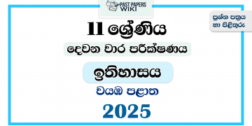 2025 Grade 11 History 2nd Term Test Paper | North Western Province