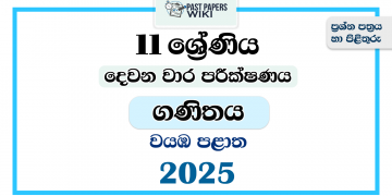 2025 Grade 11 Mathematics 2nd Term Test Paper | North Western Province