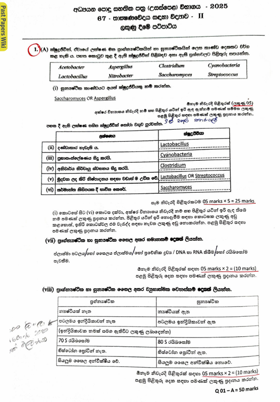 Official G.C.E. 2025 A/L SFT Answer Sheet Sinhala Medium PDF