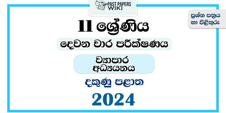 2024 Grade 11 Business Studies 2nd Term Test Paper | Southern Province