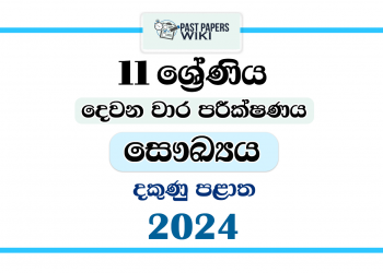 Southern Province 2024 Grade 11 Health 2nd Term Test Paper