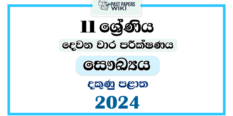 Southern Province 2024 Grade 11 Health 2nd Term Test Paper