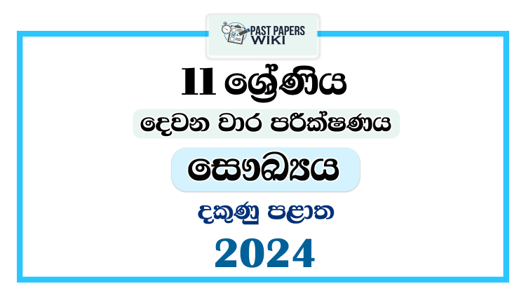 Southern Province 2024 Grade 11 Health 2nd Term Test Paper