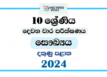 2024 Grade 10 Health 2nd Term Test Paper | Southern Province