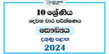 2024 Grade 10 Health 2nd Term Test Paper | Southern Province