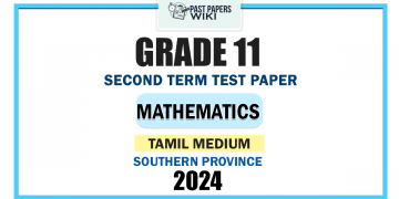 Southern Province 2024 Grade 11 Mathematics 2nd Term Test Paper | Tamil Medium