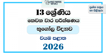 Grade 13 Geography 3rd Term Test Paper 2026 | North Western Province
