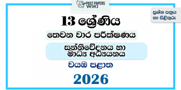 Grade 13 Communication and Media Studies 3rd Term Test Paper 2026 | North Western Province