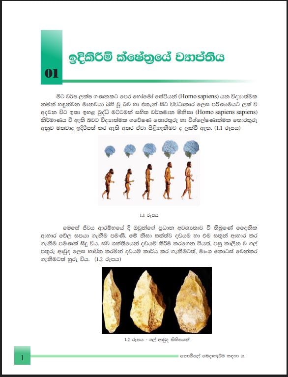 Grade 10 Construction Technology Textbook PDF in Sinhala Medium
