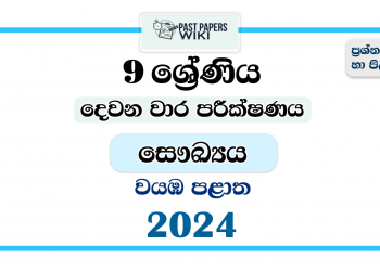 North Western Province 2024 Grade 09 Health 2nd Term Test Paper