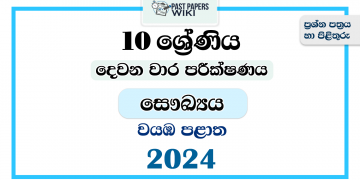 2024 Grade 10 Health 2nd Term Test Paper | North Western Province