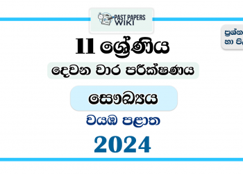 2024 Grade 11 Health 2nd Term Test Paper | North Western Province