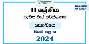 2024 Grade 11 Health 2nd Term Test Paper | North Western Province