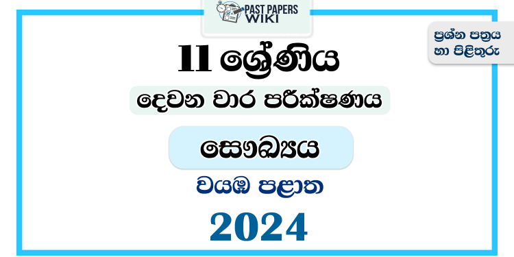 2024 Grade 11 Health 2nd Term Test Paper | North Western Province