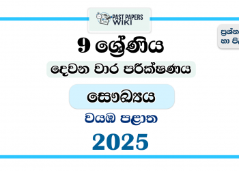North Western Province 2025 Grade 09 Health 2nd Term Test Paper