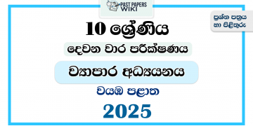 North Western Province 2025 Grade 10 Business Studies 2nd Term Test Paper