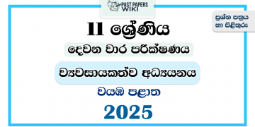 North Western Province 2025 Grade 11 Entrepreneurship Studies 2nd Term Test Paper