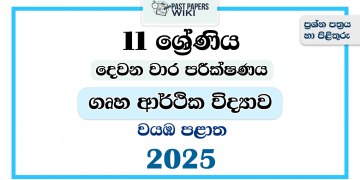 North Western Province 2025 Grade 11 Home Economics 2nd Term Test Paper