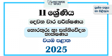 2025 Grade 11 ICT 2nd Term Test Paper | North Western Province