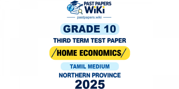 Northern Province 2025 Grade 10 Home Economics 3rd Term Test Paper | Tamil Medium