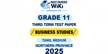 Tamil Medium 2025 Grade 11 Business Studies 3rd Term Test Paper | Northern Province