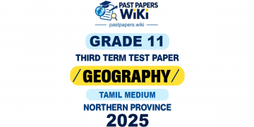 Northern Province 2025 Grade 11 Geography 3rd Term Test Paper | Tamil Medium